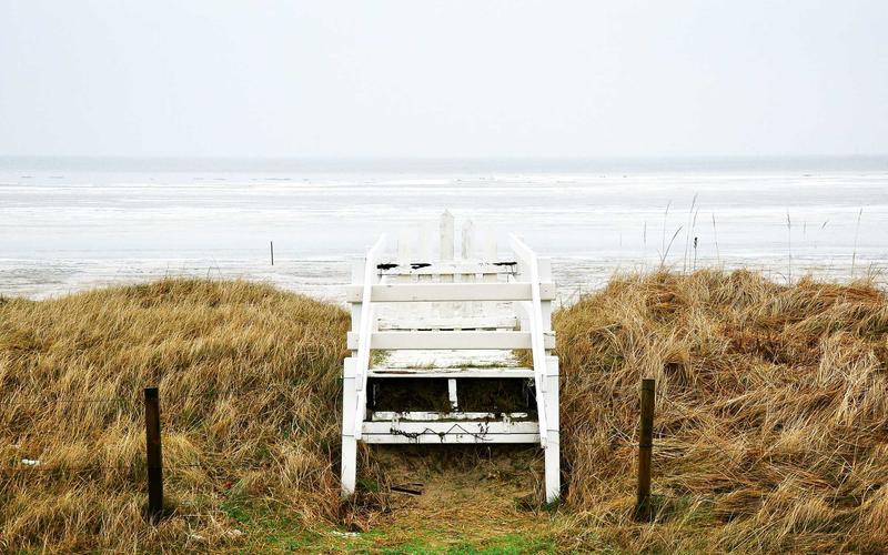 Best portable refrigerators for glamping